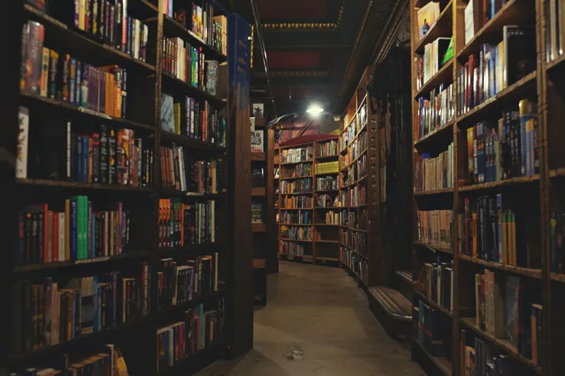 Slow Burn, Big Payoff: How Indie Presses Are Turning Forgotten Titles Into Financial Lifelines